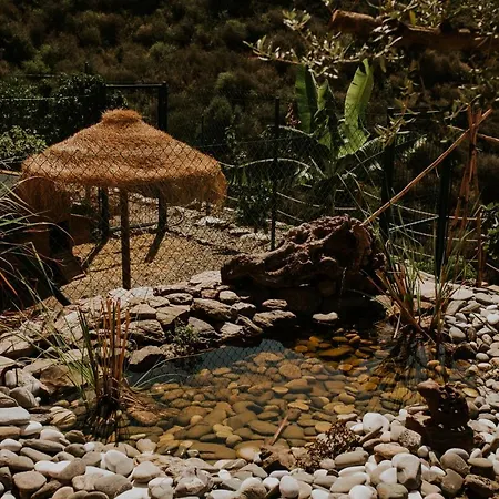Casa Siempreviva - Recommended For Adults 토록스