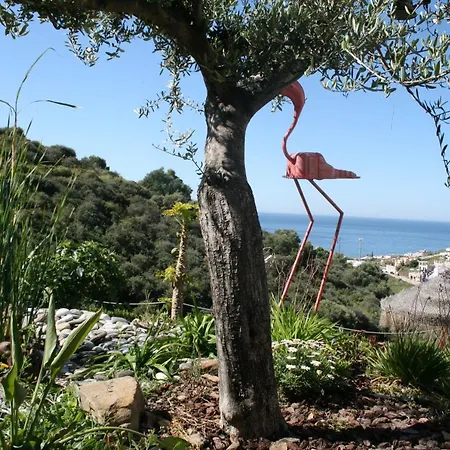 Hotel Casa Siempreviva - Recommended For Adults Torrox